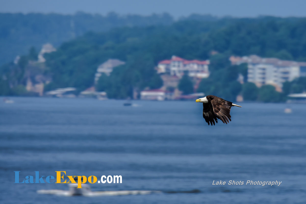 Bald Eagle 2_MilitaryPokerRun 195-2-124.jpg